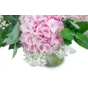 bouquet of hydrangeas